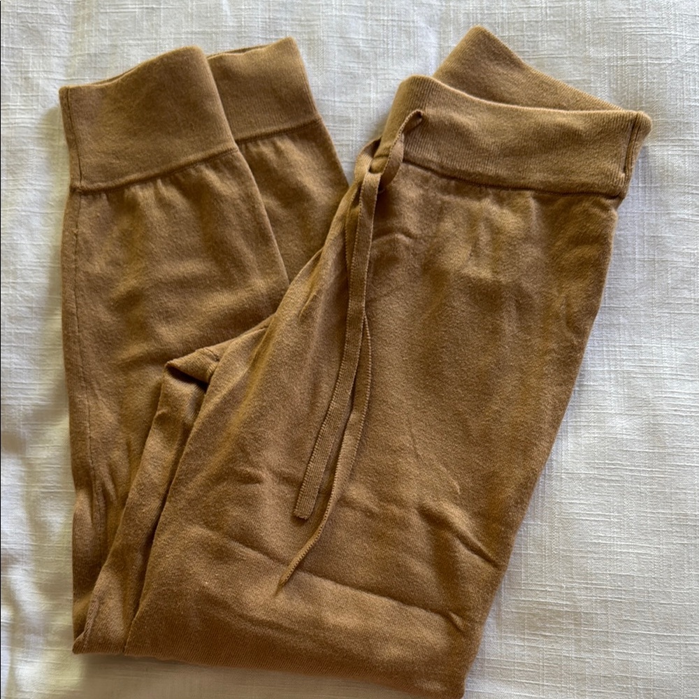 Banana Republic Brown Track Pants Soft Suede Joggers
